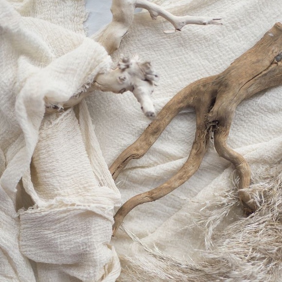 13 Lake Michigan Driftwood Pieces - Picture 2 of 2